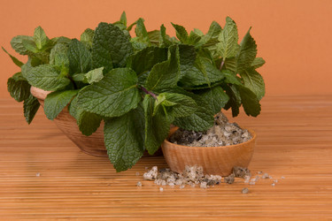 Similar image 5754329