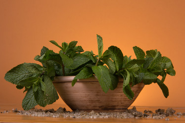 Similar image 5754333