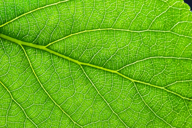 Similar image 5754452