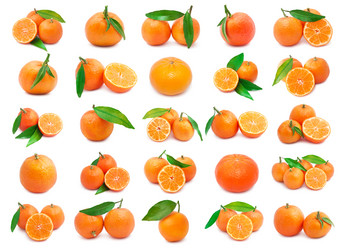 Similar image 5754459