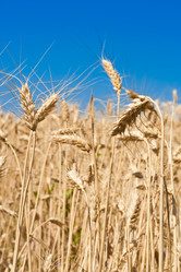 Similar image 5754462