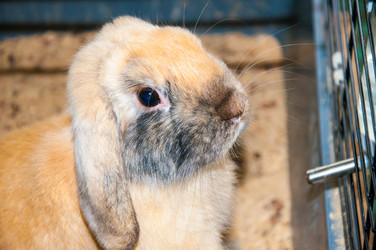 Similar image 5754670