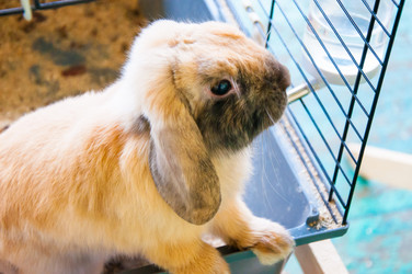 Similar image 5754671