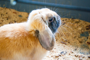 Similar image 5754672