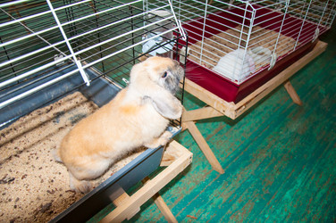 Similar image 5754673