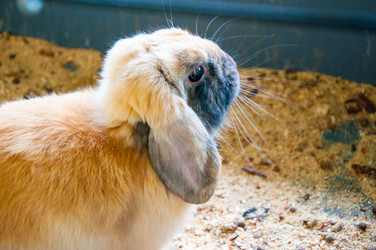 Similar image 5754674