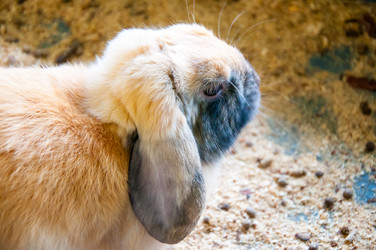 Similar image 5754687