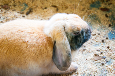 Similar image 5754688