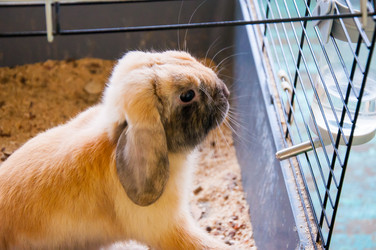 Similar image 5754690