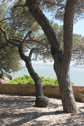 Similar image 5755432