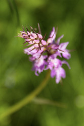 Similar image 5755487