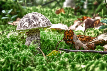 Similar image 5755942