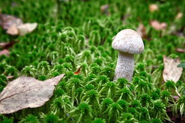 Similar image 5755970