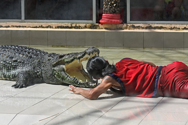 Similar image 5756846