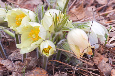 Similar image 5756850