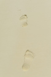 Similar image 5757548