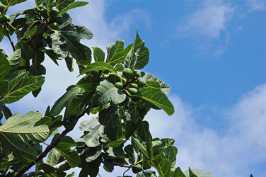 Similar image 5757625