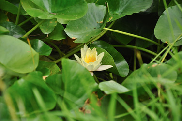 Similar image 5757628