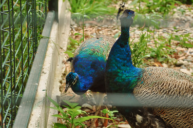 Similar image 5757629