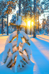 Similar image 5757649