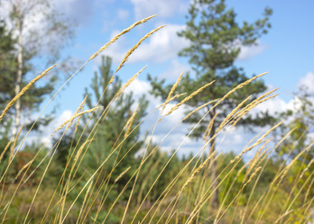 Similar image 5757666