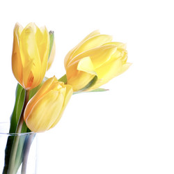 Similar image 5757691