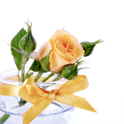 Similar image 5757692