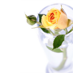 Similar image 5757693