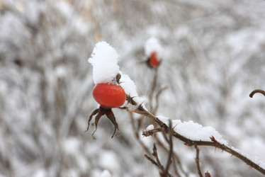 Similar image 5757708