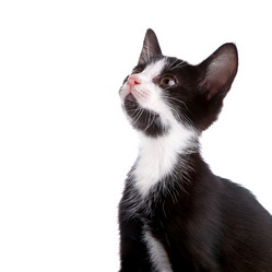 Similar image 5757721