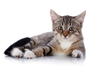 Similar image 5757727