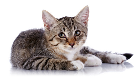 Similar image 5757729