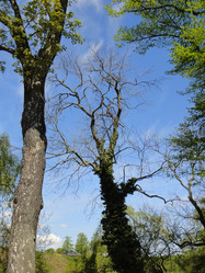 Similar image 5757740