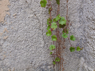 Similar image 5757837