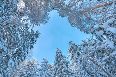 Similar image 5757974