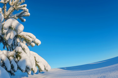 Similar image 5757975