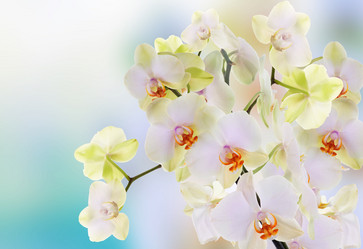 Similar image 5757978