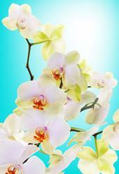 Similar image 5757981