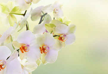 Similar image 5757982