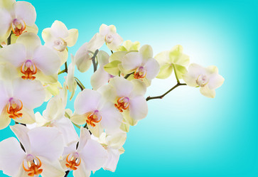 Similar image 5757985