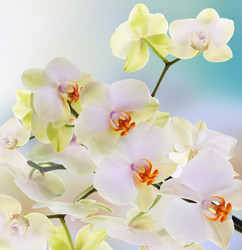 Similar image 5757987