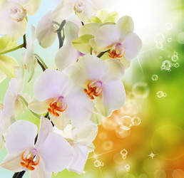 Similar image 5757994