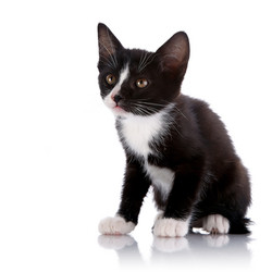 Similar image 5758003