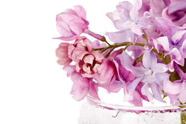 Similar image 5758004