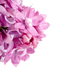 Similar image 5758005