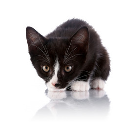 Similar image 5758006