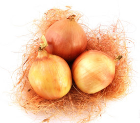 Similar image 5758054