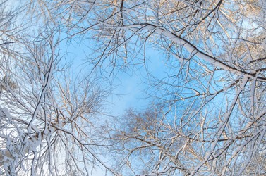 Similar image 5758182