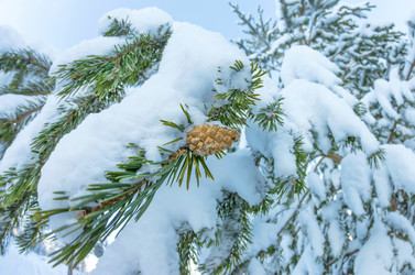 Similar image 5758184