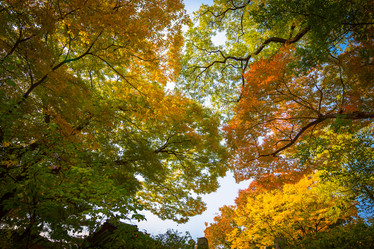 Similar image 5758219